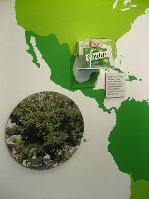 sapotaceae exhibition