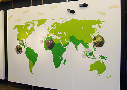 sapotaceae exhibition